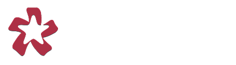 Dexybit AI Logo